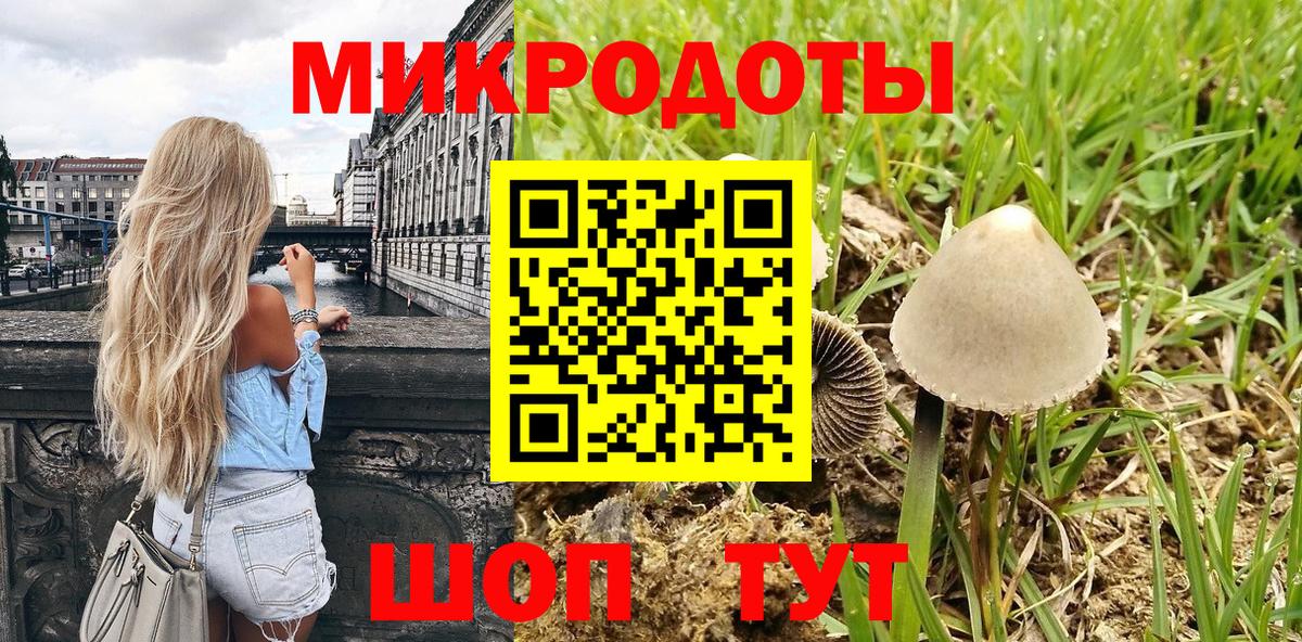 сколько стоит  Вход с VPN  Ульяновск  Псилоцибиновые грибы Psilocybe 